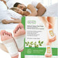 Aliver Natural Detox Foot Pads (Pack of 20)